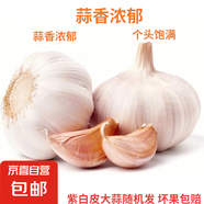 京喜自營精選大蒜水果蒜調(diào)料蔬菜火鍋燒烤牛肉小龍蝦食材 優(yōu)選5-6頭 100g 單果3.5-5cm