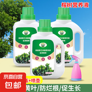 榕樹營養(yǎng)液黃葉掉葉不長葉黃金榕人參榕小葉榕樹盆景專用肥料 榕樹營養(yǎng)液500ml×3瓶＋噴壺