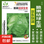 可食用薄荷種子留蘭香檸檬苗貓薄荷四季播種室內陽(yáng)臺盆栽蔬菜籽子 脆嫩結球生菜約300粒