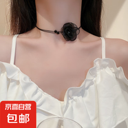 法式輕奢蝴蝶鑲鉆珍珠項(xiàng)鏈小眾氣質(zhì)鎖骨鏈百搭小清新高級(jí)感飾品女 19#項(xiàng)鏈-常規(guī)-黑色
