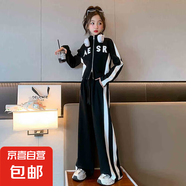 女童春秋款套裝新款2024秋裝洋氣女時(shí)髦韓系大童秋季運(yùn)動(dòng)服兒童潮 WX-6035【黑色】春秋款 160cm