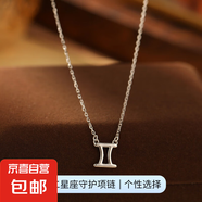 925純銀十二星座項鏈女ins簡約光面符號吊墜鎖骨鏈高級感爆款配飾 【白金色-雙子座】 無規(guī)格