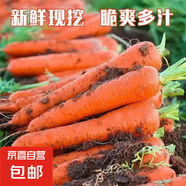 京喜加新鮮胡蘿卜當季農(nóng)家自種蘿卜脆爽多汁水果蔬菜 新鮮胡蘿卜 1斤 帶箱