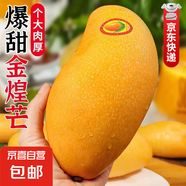 廣西金煌芒新鮮進(jìn)口水果當(dāng)季熱帶大青皮芒果整箱批發(fā)送禮品物盒 凈重3斤裝【80%人選】 甄選特級(jí)果【單果300g+】