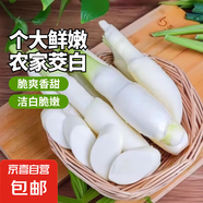 云南新鮮茭白當(dāng)季時(shí)令農(nóng)家蔬菜清甜脆嫩新鮮高筍茭兒菜茭瓜生鮮 新鮮茭白帶箱2斤