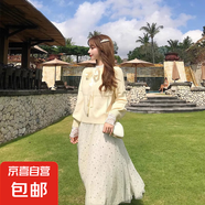2025夏季新款星空亮片網(wǎng)紗半身裙女高腰顯瘦遮胯飄逸中長款紗裙子 5526杏色【星空亮片紗裙】 M 推薦【96-105斤】