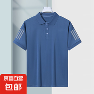 男士高檔冰絲Polo衫夏季純色百搭透氣彈力翻領(lǐng)短袖時尚休閑T恤潮 純藍(lán)【三桿蝴網(wǎng)POLO衫】 XL 建議115-130斤