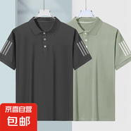 男士高檔冰絲Polo衫夏季純色百搭透氣彈力翻領(lǐng)短袖時尚休閑T恤潮 純灰+純綠【三桿蝴網(wǎng)POLO衫】 5XL 建議180-200斤