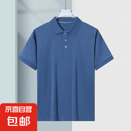 夏季薄款POLO衫男士冰絲透氣短袖t恤男寬松翻領(lǐng)休閑體恤男百搭 純藍(lán)【光版蝴網(wǎng)POLO衫】 L 建議100-115斤