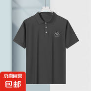 正品翻領(lǐng)Polo衫夏季新款男士高檔冰絲透氣彈力短袖百搭休閑T恤 山脈灰【蝴網(wǎng)POLO衫】 2XL 建議130-145斤