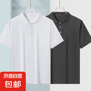 夏季薄款POLO衫男士冰絲透氣短袖t恤男寬松翻領(lǐng)休閑體恤男百搭 純白+純灰【光版蝴網(wǎng)POLO衫】 XL 建議115-130斤
