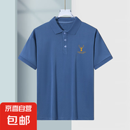正品翻領(lǐng)Polo衫夏季新款男士高檔冰絲透氣彈力短袖百搭休閑T恤 鹿角藍(lán)【蝴網(wǎng)POLO衫】 2XL 建議130-145斤