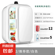 SAST先科車載家兩用冰箱家用寢室學(xué)生制冷單人宿舍小型冰箱冷藏 珍珠白 車家兩用 12L
