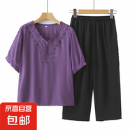 2025夏季新款休閑短袖T恤衫套裝女寬松大碼蕾絲V領(lǐng)上衣襯衫兩件套 紫色+(夏款褲子) 2XL 男G-