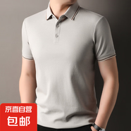40支絲光雙面短袖T恤男士翻領(lǐng)5A純色防蚊涼感新款Polo衫上衣 銀灰 L 175/92A