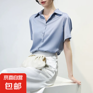 暗門(mén)襟面試短袖襯衣職業(yè)襯衫女夏氣質(zhì)高級(jí)感法式上衣顯瘦工裝襯衣 藍(lán)色短袖 明扣 CD2 3XL