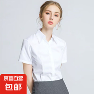 2025新款時(shí)尚百搭白襯衫夏季正裝短袖商務(wù)職業(yè)通勤襯衫氣質(zhì)工作服 6213白色短袖【V領(lǐng)】高棉不透 5XL 推薦【150-165斤】