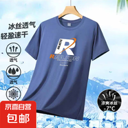 新款夏季男士冰絲網(wǎng)眼短袖T恤男寬松半袖體恤大碼簡(jiǎn)約百搭男上衣 藍(lán)色 4XL