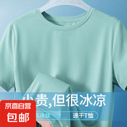 涼爽網(wǎng)眼冰絲彈力T恤夏季男新款時(shí)尚休閑速干透氣舒適圓領(lǐng)上衣KXW 059【冰絲網(wǎng)眼T恤】淺綠色 L 【105-115斤】