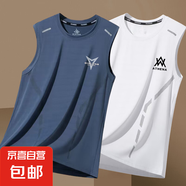 夏季健身無袖冰絲背心男速干寬松大碼T恤跑步籃球運(yùn)動(dòng)訓(xùn)練坎肩-SL 三角藍(lán)+WA白【二件裝】 4XL  【建議160-180斤】