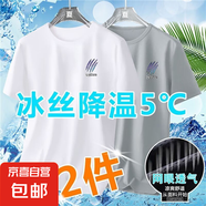 薄款冰絲短袖t恤男士夏季寬松大碼男裝休閑透氣百搭體恤衫衣服-SL 【網(wǎng)眼T恤：抓痕】白+淺灰 2XL  建議130-145斤