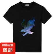 2025夏季新款t恤男短袖百搭時尚潮流寬松圓領(lǐng)半袖學(xué)生打底半截袖 短袖t大藍(lán)鷹黑色 M