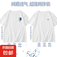 男士冰絲網(wǎng)眼t恤男夏季2025款男生速干衣服涼感運(yùn)動短袖SJ 網(wǎng)眼TJE字母白色+小魚白 2XL