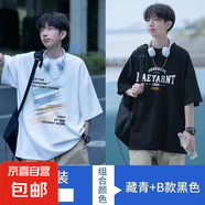 2025夏新款冰絲涼感短袖t恤男生高檔次寬松圓領(lǐng)半袖體恤上衣服-SL 069白+067黑 【二件裝】 3XL 【推薦145-165斤】