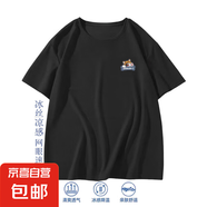 男士冰絲網(wǎng)眼t恤男夏季2025款男生速干衣服涼感運(yùn)動(dòng)短袖SJ 網(wǎng)眼T小貓黑色 5XL