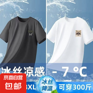 男士夏冰絲速干短袖t恤國潮圓領(lǐng)卡通印花百搭簡約大碼青年上衣-SL 【網(wǎng)眼T恤】CAT貓深灰+CHINA獅白 4XL  建議165-180斤