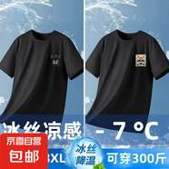 男士夏冰絲速干短袖t恤國潮圓領(lǐng)卡通印花百搭簡約大碼青年上衣-SL 【網(wǎng)眼T恤】CAT貓黑+CHINA獅黑 3XL  建議145-160斤
