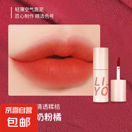 空氣感唇泥啞光口紅霧面柔光絲絨平價學(xué)生黨持妝不脫色持久顯白 N4~鹽奶粉橘