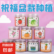 【春季】植物創(chuàng)意小盆栽栽培桌面迷你綠植草莓向日葵種植種子盲盒 植物盲盒（隨機(jī)1罐）種植小盆栽