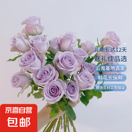 【稀有玫瑰花】滇原花卉氣場海洋卡布奇諾云南鮮花基地母親節(jié)禮物 海洋之歌/紫霞隨機發(fā)貨 10枝長度40cm起