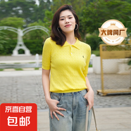 【阿瑪尼制造商】拉夫同款夏天絲小馬刺繡針織衫短袖女POLO打底衫 鮮黃 XL （125-140斤）
