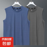 冰感運動(dòng)背心男2025新款籃球服冰絲透氣速干上衣健身無(wú)袖國潮t恤 純藍+純灰【光版蝴網(wǎng)背心】 5XL 建議180-200斤