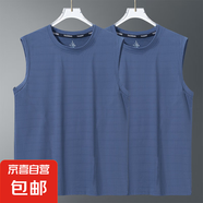冰感運動(dòng)背心男2025新款籃球服冰絲透氣速干上衣健身無(wú)袖國潮t恤 純藍+純藍【光版蝴網(wǎng)背心】 5XL 建議180-200斤