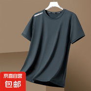 男士短袖t恤夏季潮牌冰絲薄款圓領(lǐng)寬松速干體恤夏天百搭休閑上衣 純色【單桿蝴網(wǎng)灰色】 2XL 建議130-145斤