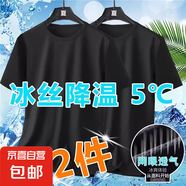2025夏季純色冰絲短袖t恤寬松大碼休閑百搭體恤潮流衣服男T1 2件 黑色+黑色 【網(wǎng)眼冰涼透氣款】 3XL 【建議145-160斤】