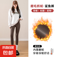 2025鯊魚褲女秋冬高腰外穿磨毛打底褲不卷邊不掉檔緊身小腳褲薄絨 咖色（磨毛款） M （80-105斤）