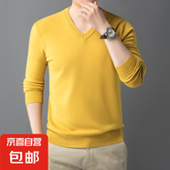 2025冬季純色簡約V領(lǐng)男士毛衣保暖打底衫男針織衫 黃色 XL