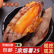 【全網(wǎng)熱銷(xiāo)】煙薯25號(hào)香甜濃郁空氣炸鍋烤紅薯地瓜 減脂必備 為烤而生 糖心流油 煙薯25號(hào) 2斤帶箱 小果寶寶薯 單果1兩-3兩