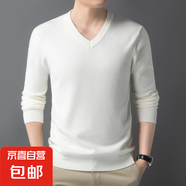 2025冬季純色簡約V領(lǐng)男士毛衣保暖打底衫男針織衫 白色 XL