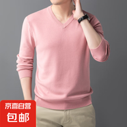 2025冬季純色簡約V領(lǐng)男士毛衣保暖打底衫男針織衫 粉色 XL