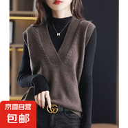 馬甲女春秋季外穿V領(lǐng)2025新款女士毛衣針織外搭女式背心爆款上衣 1055咖啡色 2XL  【建議131斤-140斤】