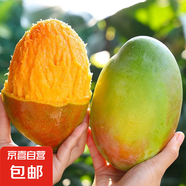 【新鮮上市】正宗攀枝花凱特芒果新鮮水果 帶箱4斤【單果200g】