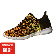 鬼步舞發(fā)光鞋LED充電七彩燈鞋男女情侶運(yùn)動(dòng)鞋時(shí)尚新款光纖發(fā)光鞋 S17黑色 36
