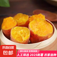龍九蜜薯紅薯烤地瓜現(xiàn)挖番薯 農家自種新鮮生鮮蔬菜優(yōu)質粗糧整箱 嘗鮮裝250g 單果1兩+ 源頭直采包郵