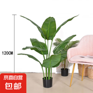 北歐風(fēng)仿真綠植旅人蕉盆栽室內(nèi)家居裝飾擺件假樹美人蕉天堂鳥植物 120cm天堂鳥-9葉