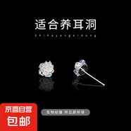 小貓可可S999純銀彩色山茶花耳釘女2025新款爆款養(yǎng)耳洞耳環(huán)高級(jí)感 【999銀】七彩山茶花耳釘